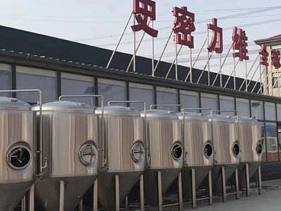 东丰精酿啤酒设备厂—如何判断精酿啤酒设备的密封件需要更换？